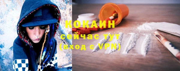 мдпв Белокуриха