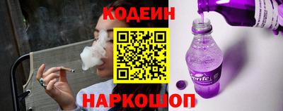 крисы Можга