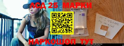 крисы Можга