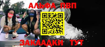 крисы Можга