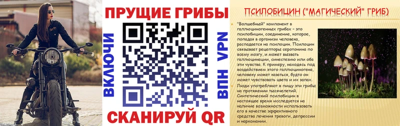 Галлюциногенные грибы мухоморы  Верхний Уфалей 