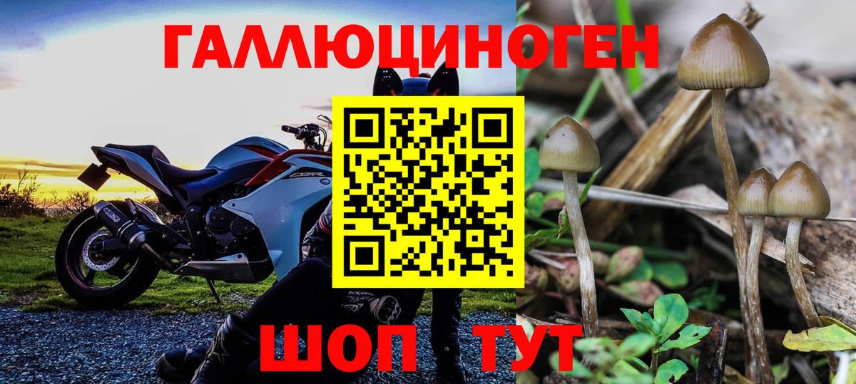 Псилоцибиновые грибы ЛСД Верхний Уфалей